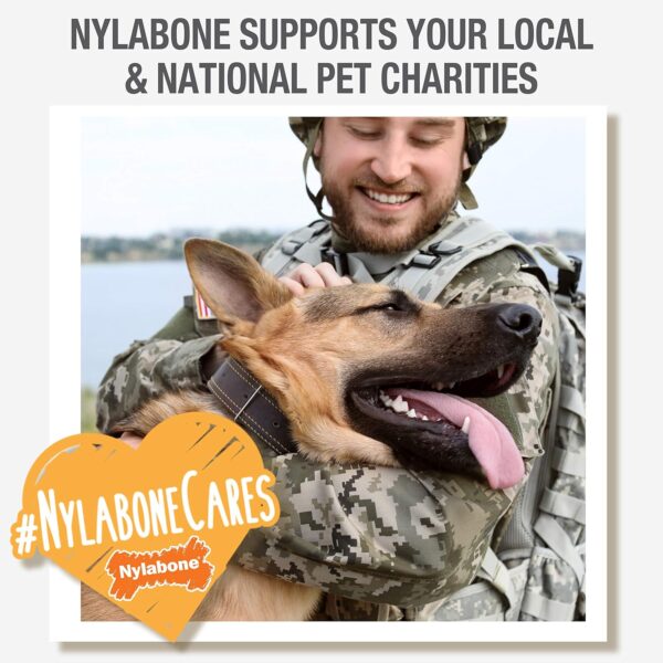 Nylabone Power Chew Toy - Image 3